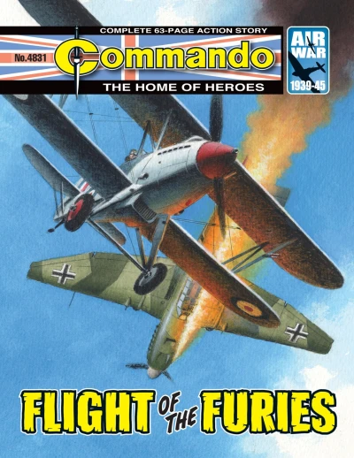 Cover of Flight of the Furies
