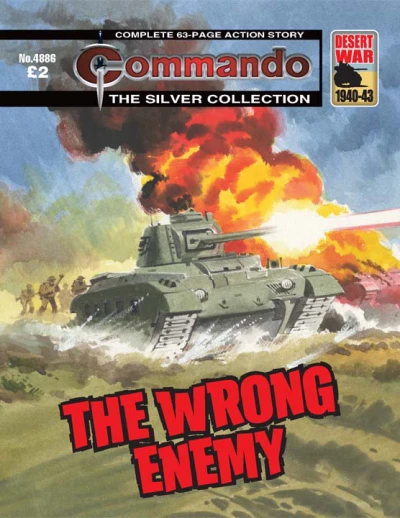 Cover of The Wrong Enemy