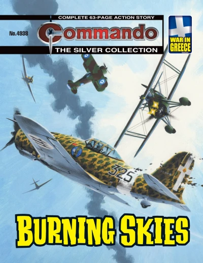 Cover of Burning Skies