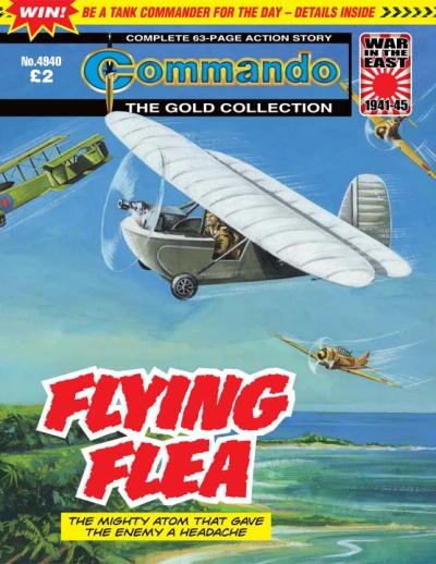 Cover of Flying Flea