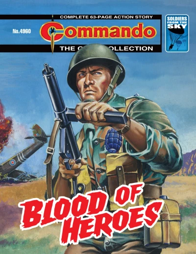 Cover of Blood of Heroes