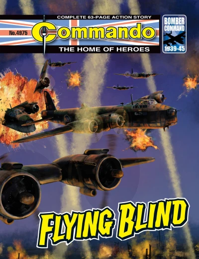 Cover of Flying Blind