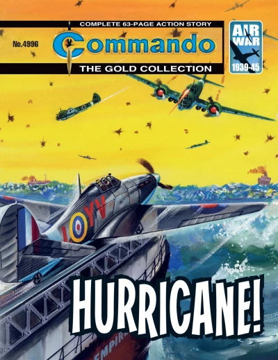Cover of Hurricane!