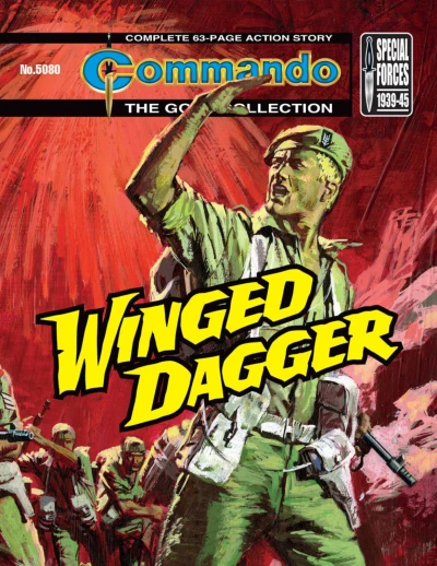 Cover of Winged Dagger