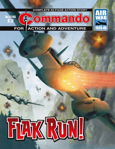 Cover of Flak Run!
