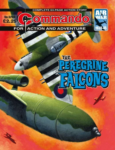 Cover of The Peregrine Falcons