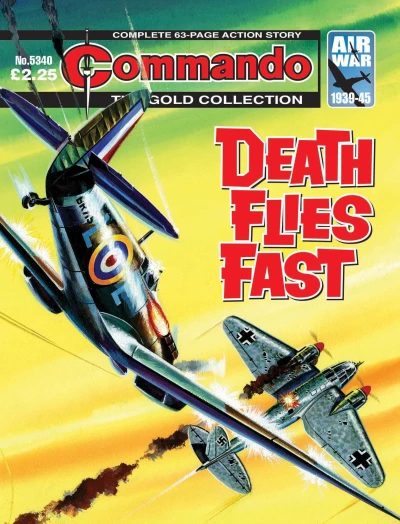 Cover of Death Flies Fast