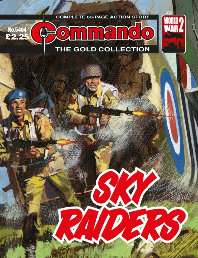 Cover of Sky Raiders
