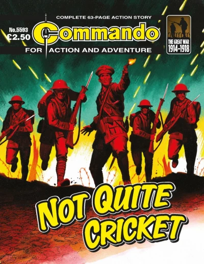 Cover of Not Quite Cricket