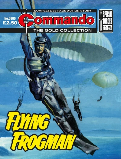 Cover of Flying Frogmen