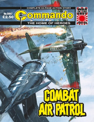 Cover of Combat Air Patrol