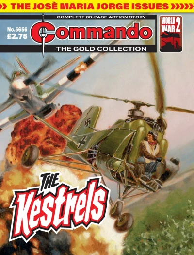 Cover of The Kestrels