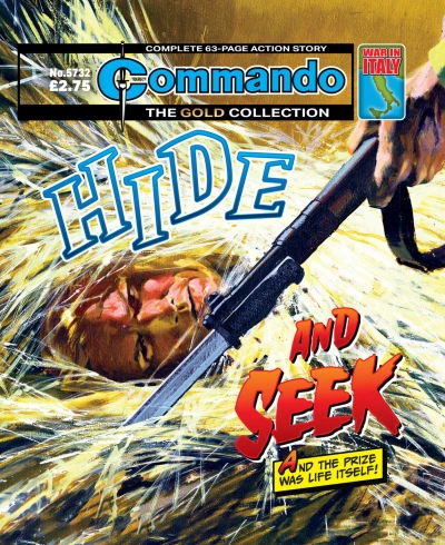 Cover of Hide and Seek