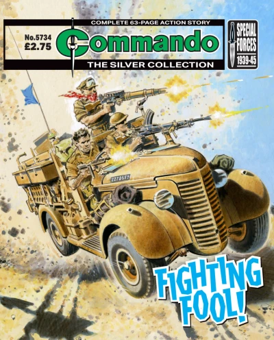 Cover of Fighting Fool!