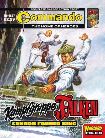 Cover of Kampfgruppe Falken: Cannon Fodder King