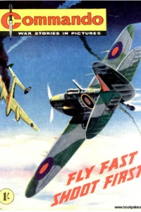 Fly Fast Shoot First!