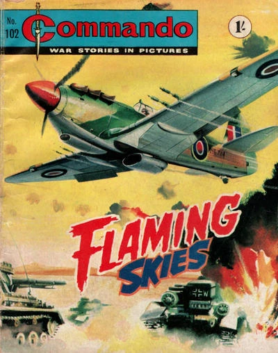 Cover of Flaming Skies