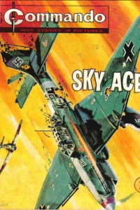 Sky Ace