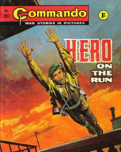 Cover of Hero On the Run
