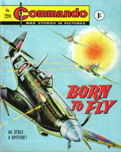 Cover of Born To Fly