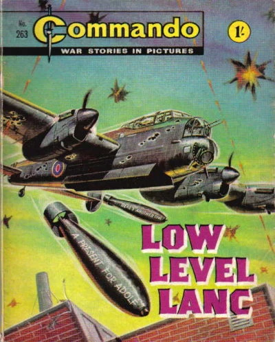 Cover of Low Level Lanc