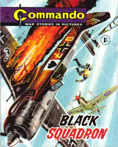 Cover of Black Squadron