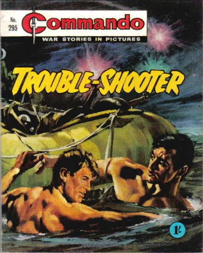 Cover of Trouble-Shooter
