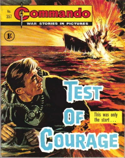 Cover of Test of Courage