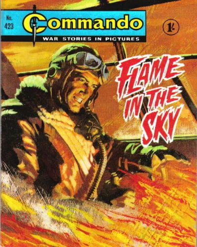 Cover of Flame In the Sky