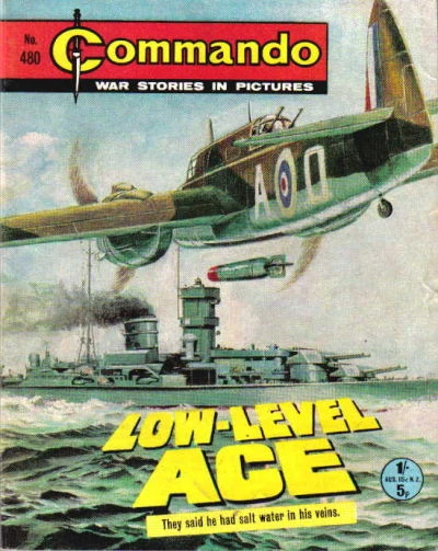 Cover of Low Level Ace