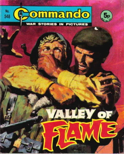 Cover of Valley of Flame