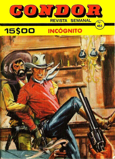 Cover of Incognito