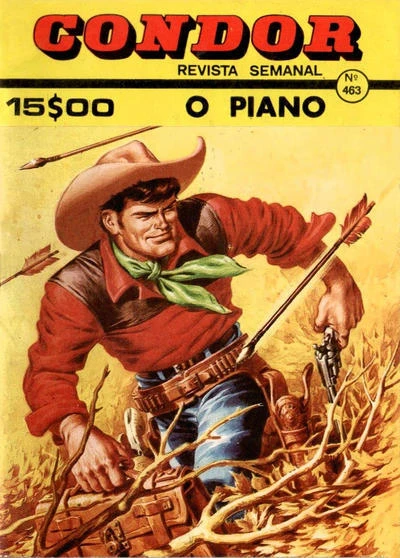 Cover of O piano