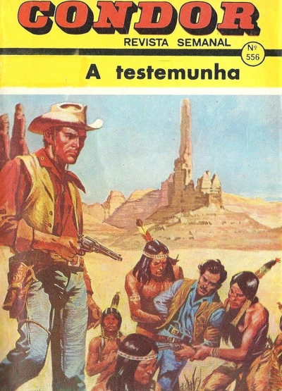 Cover of A testemunha