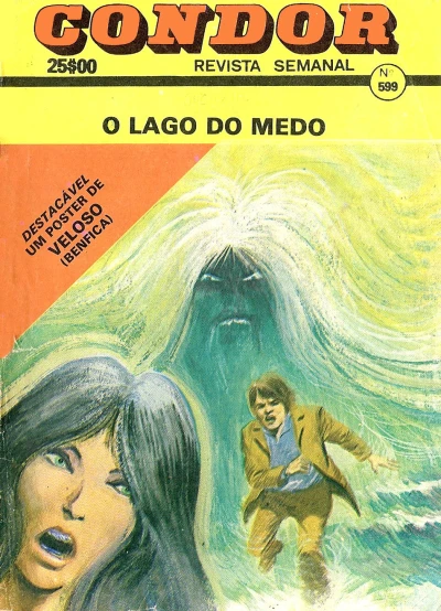 Cover of O lago do medo