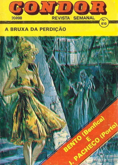 Cover of A bruxa da perdicao