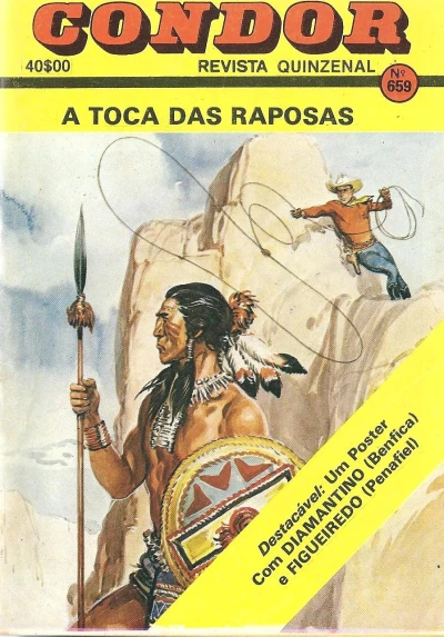 Cover of A toca das raposas