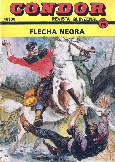 Cover of Flecha negra