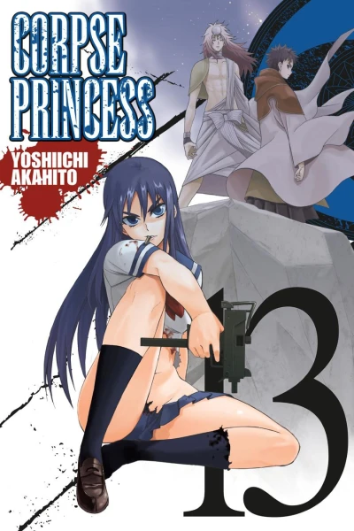 Cover of Vol. 13