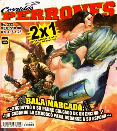 Cover of Issue #232