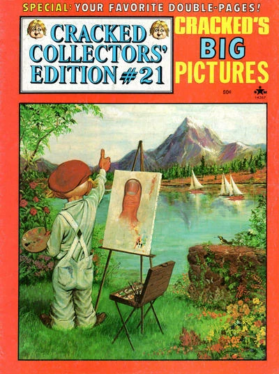 Cover of Cracked Big Pictures