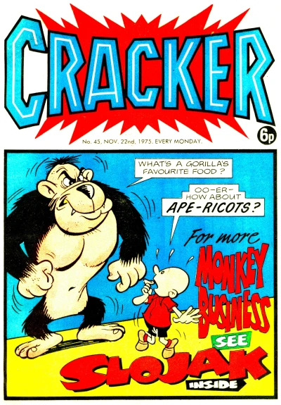 Cover of Issue #45