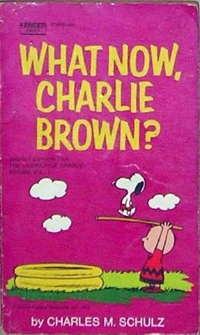 Cover of What Now, Charlie Brown?