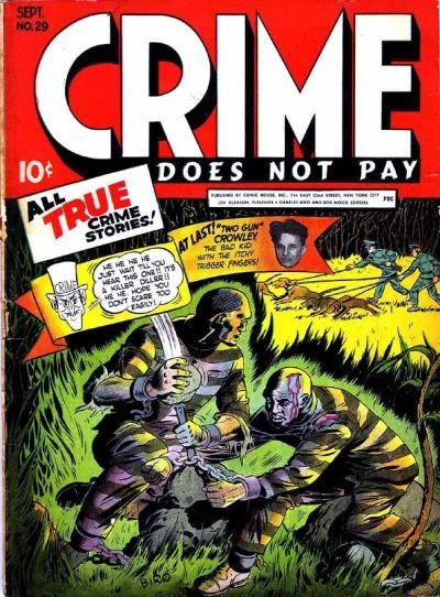 Cover of Issue #29