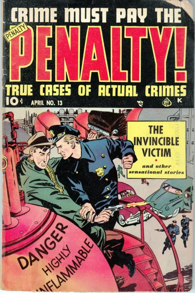 Cover of The Invincible Victim