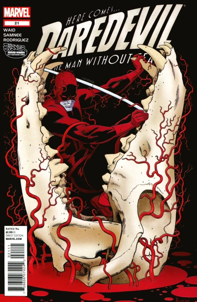 Cover of Issue #21