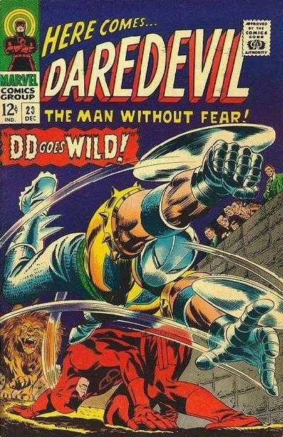 Cover of DD Goes Wild!