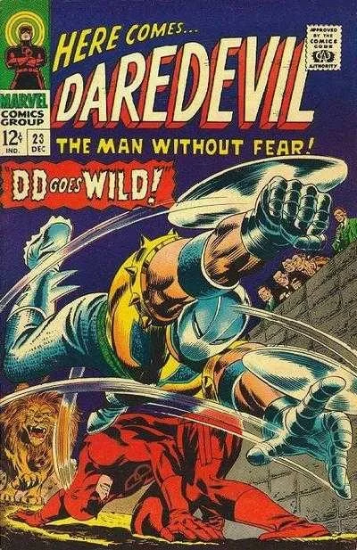 Cover of DD Goes Wild!