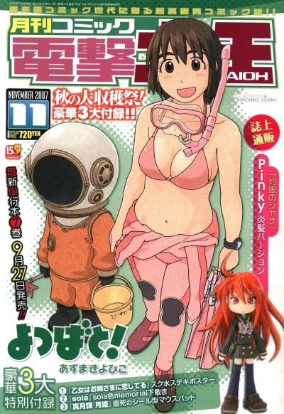 Cover of No. 11, 2007