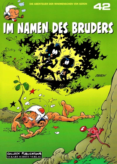 Cover of Im Namen des Bruders